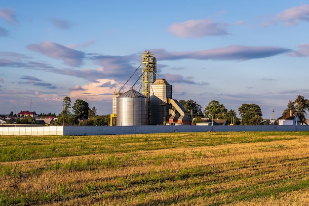 Agro silos elevatore per granaio con linea di pulizia dei semi su impianto di produzione di agroprocessing per la lavorazione, asciugatura, pulizia e stoccaggio di prodotti agricoli