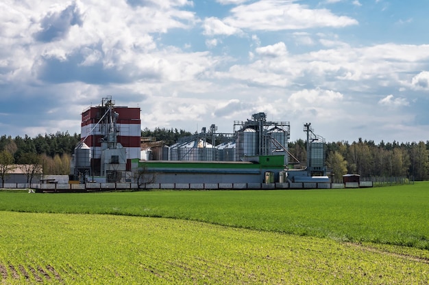 Agro silos elevatore per granaio con linea di pulizia semi su impianto di produzione agroprocessing per la lavorazione asciugatura pulitura e stoccaggio di prodotti agricoli farina cereali e grano