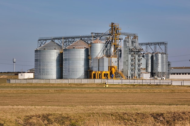 Agro silos su complesso agroindustriale e linea di essiccazione del grano e pulizia dei semi