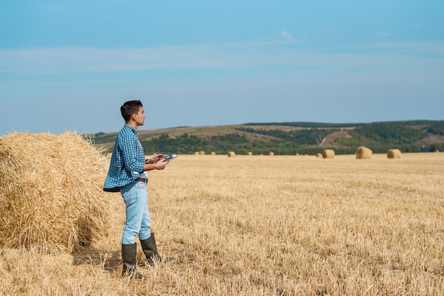 Agronomo agricoltore in jeans, camicia con un tablet è in campo con una pila, con tablet guardando in lontananza.