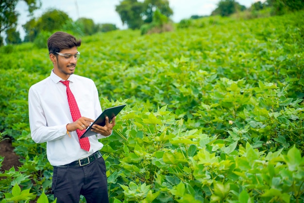 Agronomo al campo di cotone, che mostra alcune informazioni sulla scheda