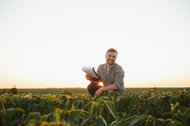 Agronomo che ispeziona le colture di semi di soia che crescono nel campo agricolo Il concetto di produzione agricola il giovane agronomo esamina il raccolto di soia sul campo in estate Agricoltore sul campo di soia