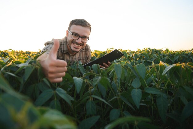 Agronomo che ispeziona le colture di semi di soia che crescono nel campo agricolo Il concetto di produzione agricola il giovane agronomo esamina il raccolto di soia sul campo in estate Agricoltore sul campo di soia