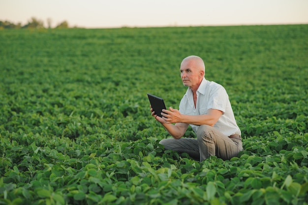 Agronomo che ispeziona le colture di semi di soia che crescono nel campo dell'azienda agricola