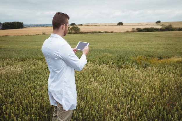 Agronomo che utilizza la tavoletta digitale sul campo