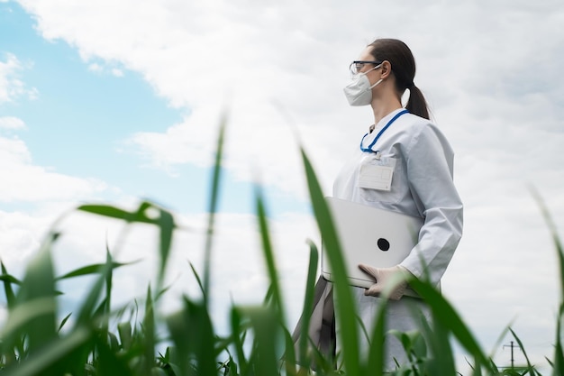 Agronomo che utilizza tablet e tecnologia nel campo di mais agricolo L'agricoltore cammina attraverso