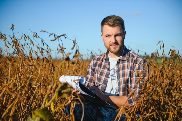 Agronomo dell'agricoltore nel campo della soia che controlla i raccolti prima del raccolto. Produzione e coltivazione di alimenti biologici.