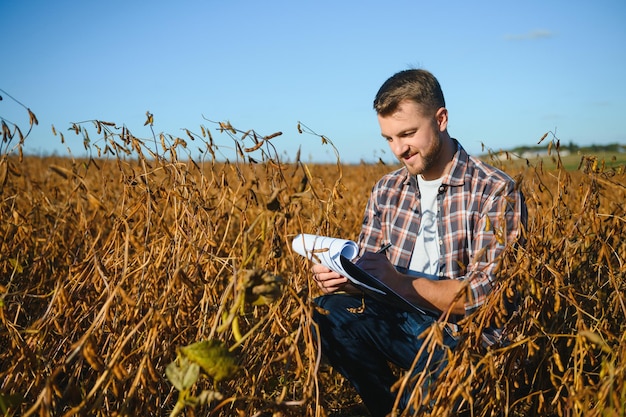 Agronomo dell'agricoltore nel campo della soia che controlla i raccolti prima del raccolto. Produzione e coltivazione di alimenti biologici.