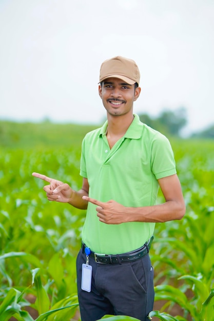 Agronomo indiano al campo di agricoltura verde.