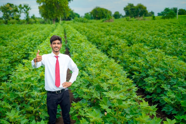 Agronomo indiano al campo di cotone e mostrando il tonfo