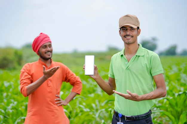 Agronomo indiano che mostra smartphone con agricoltore al campo agricolo.