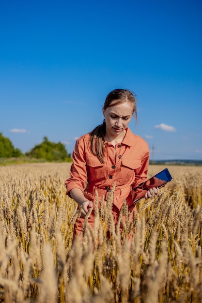 Agronomo tecnologo donna con computer tablet nel campo del grano controllo qualità e crescita