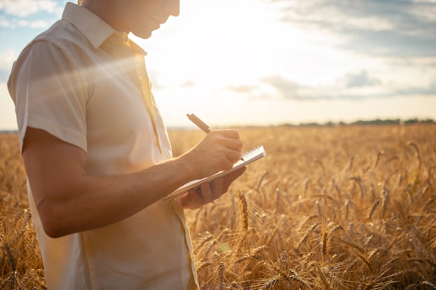 Agronomo uomo in un campo di grano