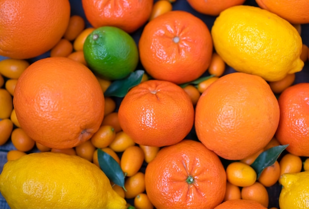 Agrumi misti arance, mandarini, limoni e lime si trovano su uno sfondo di legno nero da tavole.