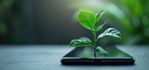 AI generativa Pianta che cresce dallo schermo dello smartphone Concetto di ecologia e ambiente