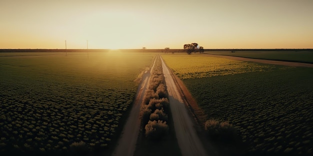 AI Generato AI Generativo Foto illustrazione realistica del paesaggio selvaggio del Texas