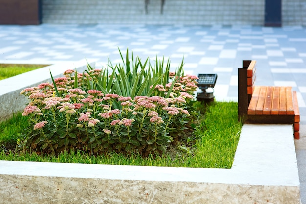 aiuola con fiori accanto alla panchina infrastruttura urbana