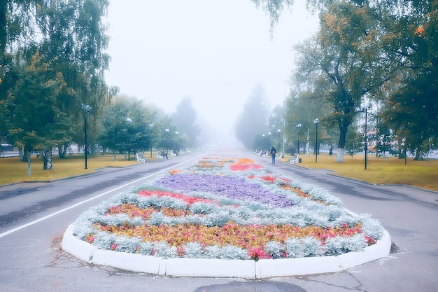 aiuola fiori parco cittadino / bella città vibrante fiori nel paesaggio, design urbano