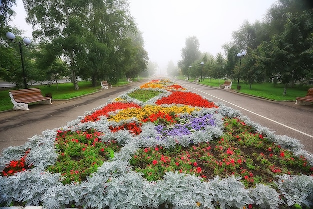 aiuola fiori parco cittadino / bella città vibrante fiori nel paesaggio, design urbano
