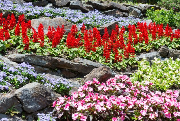 Aiuole fiorite colorate nel parco cittadino estivo