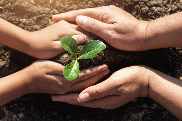 Aiutando due mani piantando giovane albero per salvare il mondo