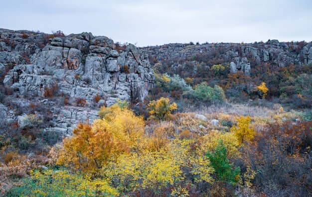 Aktovsky Canyon Ucraina alberi autunnali e grandi massi di pietra intorno