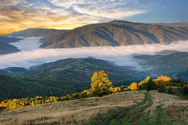 Al mattino la nebbia è scesa sulla valle dei Carpazi dell'Ucraina