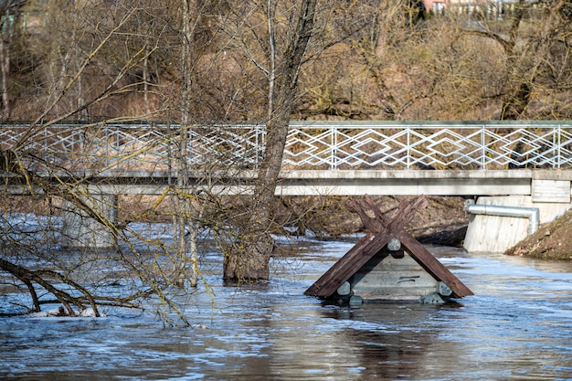 Al tetto allagato in primavera inondazioni mangiatoia per uccelli nel fiume vicino al ponte pedonale