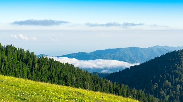 Alba a Gito Plateu, montagne di Kackar. Rize - Turchia