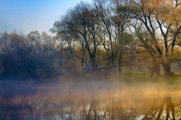 Alba arancione sulla superficie del fiume con nebbia