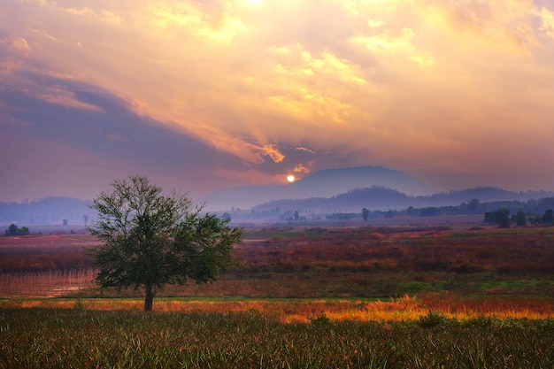 Alba bellissimo cielo al tramonto di colori giallo arancio e blu per lo sfondo.