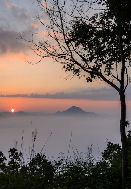 Alba con il mare di nebbia sopra Phu Thok Mountain a Chiang Khan in Loei, Tailandia