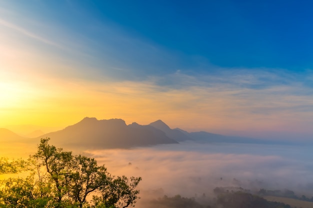 Alba con la nebbia Bellissimo paesaggio per rilassarsi in Thailandia