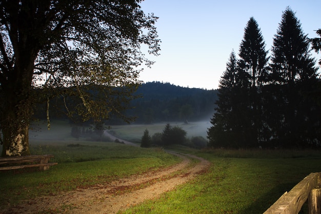 Alba con nebbia