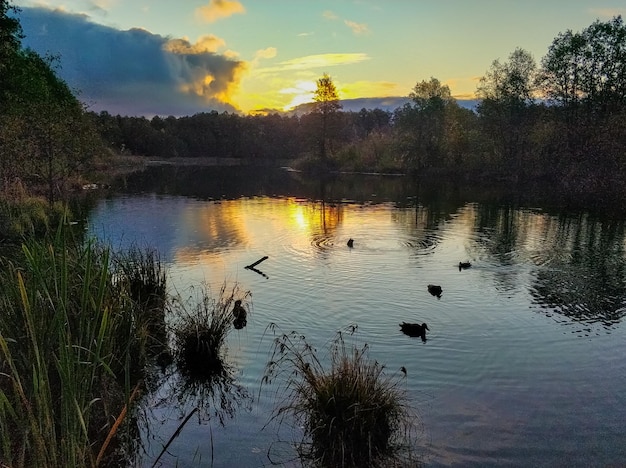 Alba del sole e sagome di anatre su un lago blu a Kazan