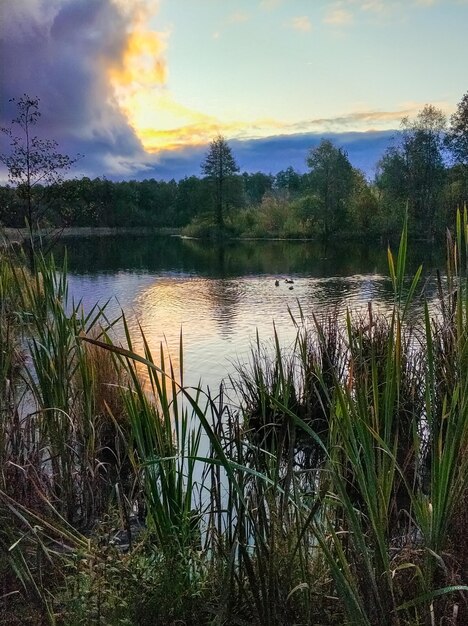 Alba del sole e sagome di anatre su un lago blu a Kazan