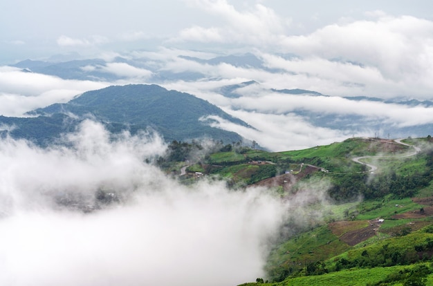 Alba della catena montuosa con la nebbia mattutina a Phu Thap Boek, provincia di Phetchabun, Thailandia.