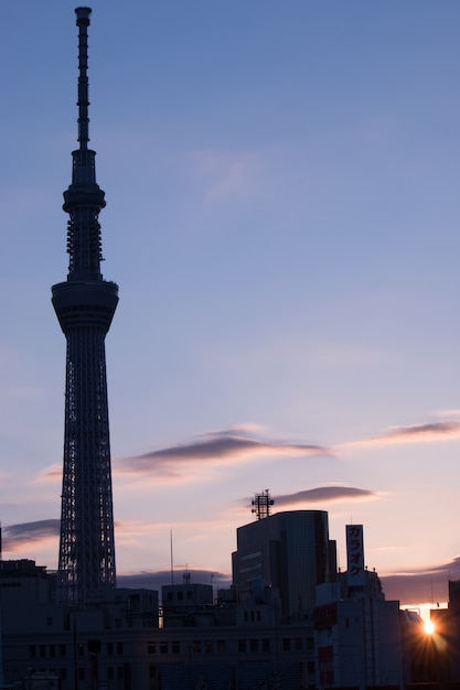 Alba di mattina con Silhouette di Tokyo skytree, centro città sguardo da Asakusa, Tokyo, Giappone