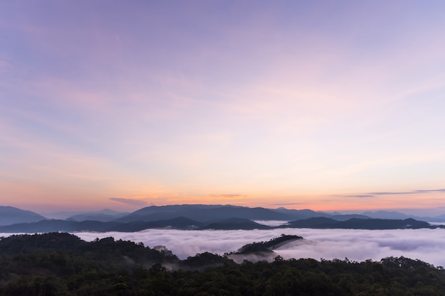 Alba e nebbia sopra le grandi montagne nella foresta.