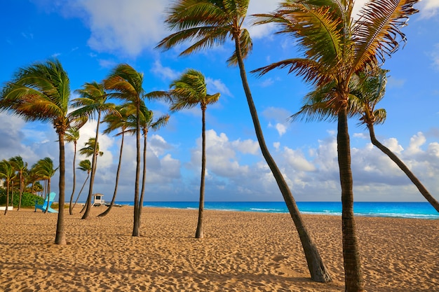 Alba Florida Stati Uniti della spiaggia di Fort Lauderdale