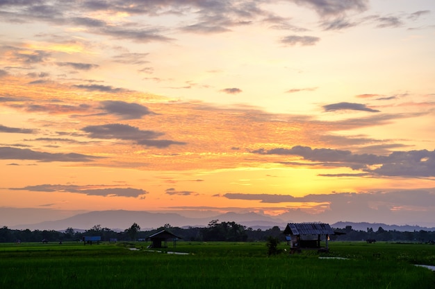 Alba in campagna