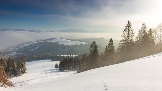 Alba in inverno montagna foresta aerea gelido nessuno natura paesaggio alpino innevato alberi al mattino nebbia bellezza naturale mozzafiato sorgere del sole luce rosa bosco di pini