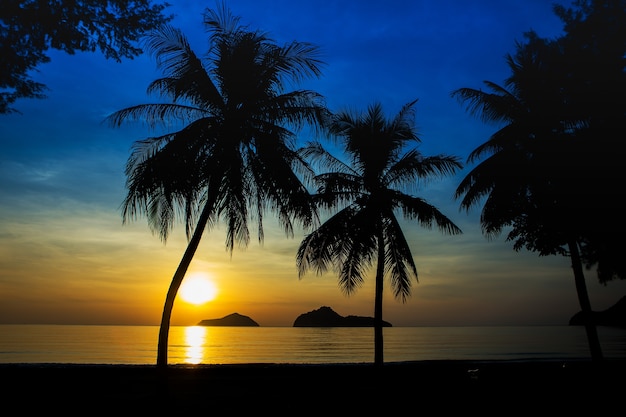 Alba in mare con isole e palme da cocco.