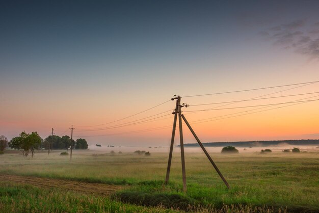 Alba in un campo con una foresta con nebbia L'Ucraina