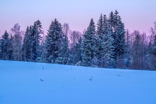 Alba invernale nella campagna lettone Colorata scena all'aperto