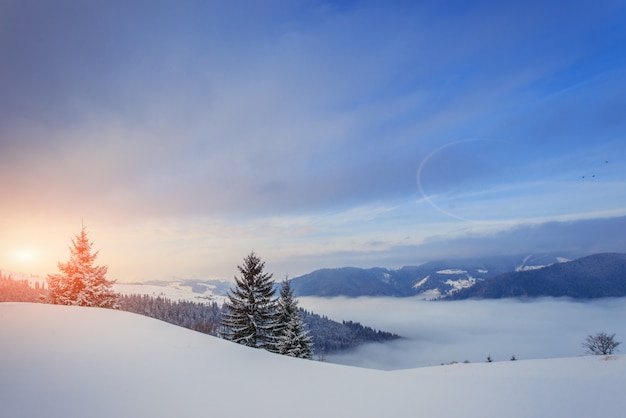 Alba invernale nelle montagne dei Carpazi