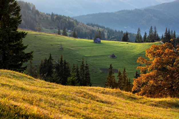 Alba maestosa nei Carpazi. Paesaggio autunnale naturale.