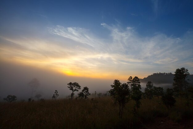 Alba nebbiosa di mattina in montagna al parco nazionale PhetchabunThailand di Thung Salang Luang