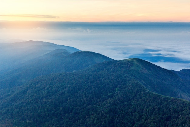 Alba nebbiosa di primo mattino sopra il grano del fuoco molle della montagna