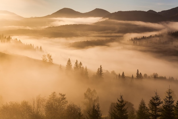 Alba nebbiosa in autunno in montagna